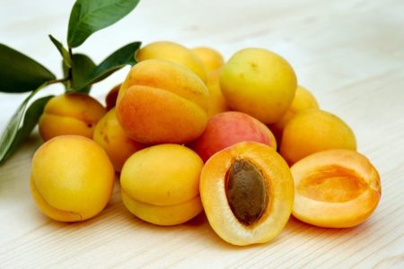 Dangerous Foods: The Unexpected Poison Lurking Inside Apricots