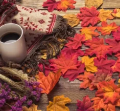 Where to Find Energy When the Days Get Shorter